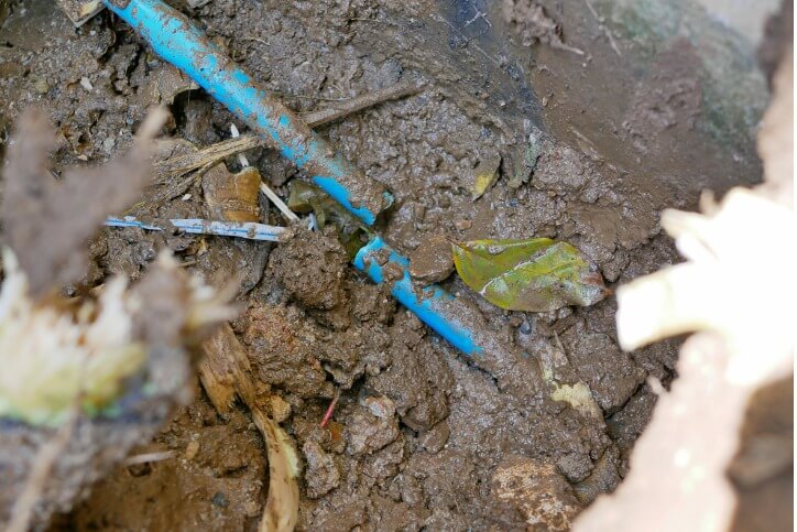 Tree Root Damaging Home's Sewer Lines